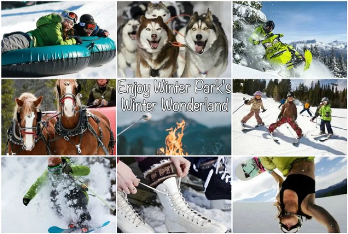 A vibrant winter scene captures people tubing down snowy hills, a team of huskies ready for dog sledding, snowmobiles lined up for adventure, and children playing in the snow, all with the backdrop of pine trees and snowy mountains.